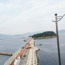 UR(순천시)-[승주로]-하-22 | [전라도 여수 여행 2편]오동도, 용굴, 동백열차, 음악분수, 이순신대교