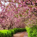 완산-124 이미지