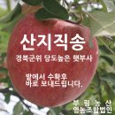 부림3길 네이버블로그