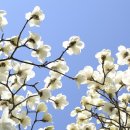 하나기획 이미지