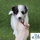 튼튼건강샵