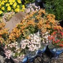 북평농협앞 이미지