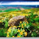 연보라(주) 이미지