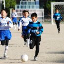 금정초등학교 이미지