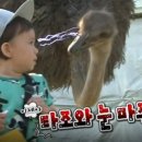 푸른샘농장 이미지