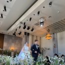 내서읍153 | 드디어 겨울