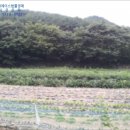 옥산리목장 이미지