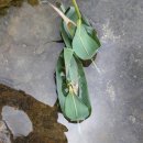 천상초등학교 이미지