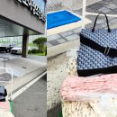 에스에이치의원 이미지