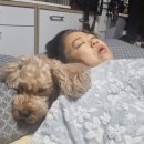 2025.02.06_철도대학교+미르_ 이미지