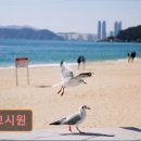 썬원룸고시원