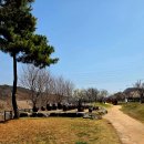 매화시장 | 2025년 경인 아라뱃길 매화동산, 인천 매화마을: 개화 정도, 주차, 먹거리
