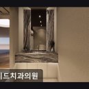 루시드치과의원 네이버블로그