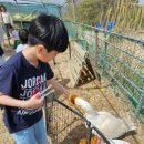 농업회사법인(주)팜스월드은기목장 | 울산 아이와 함께 가볼만한 곳, 추천 데이트코스 &#39;양떼목장&#39;