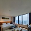 (주)한강가온누리산후조리원 | 용산 트리니티 산후조리원 VIP 리버뷰 후기 (올리비움 헤리티지 가격비교)