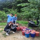 월곡4리 이데일리