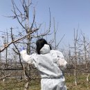 (주)선제 - 15152 | (주)선제