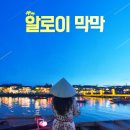 알로이막막 네이버블로그