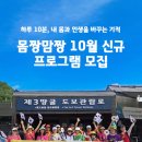 하루 10분, 내 몸과 인생을 바꾸는 기적 몸짱맘짱 10월 신규 프로그램 모집 이미지