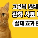 미코 그루밍 | 🐱 고양이 분리불안 완화 사료 비교 — 실제 효과 분석