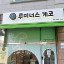 지에스(GS)25 진접역점 | [남양주진접]진접 파충류샵 아이와 가볼만한 곳 추천 : 루미너스 게코 진접역 근처