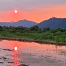 태양을향하여 이미지