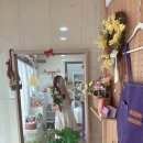 반데르센트