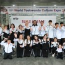 팀태권도 이미지