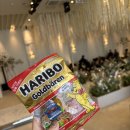 엠스타 | 대구 결혼식 사회자 고니앵커 솔직 후기 엠스타하우스 화이트스타홀