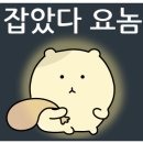 게임광장 네이버블로그