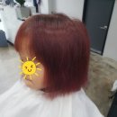오즈헤어모드 네이버블로그
