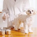 투게더 동물병원 이미지