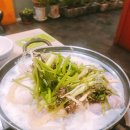 싱글벙글복어 이미지