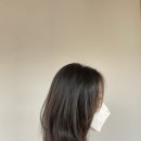 손 헤어 샵