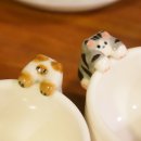 방천야시장 이미지