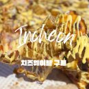 구월1동-11 | 구월동맛집 치즈웨이브, 토핑 폭탄 ‘베이컨포테이토피자’ 내돈내산 솔직후기