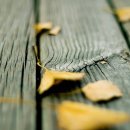 생활영어(기초) 이미지