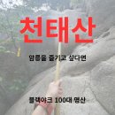 관광안내소 화장실 | 암릉이 재밌는 천태산 등산 백패킹 후기 및 주차장 위치 추천