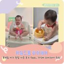 9개월 아기 가성비 하이체어 추천 feat. 차일드홈 벨기에 원목 아기 식탁의자 한달 실사용 후기
