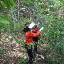 올리데이 이미지