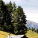 rancho deluxe (tol &amp; tol) 이미지