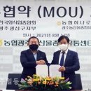 외식업중앙회 광산구지부 이미지