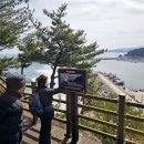 해파랑길 43 이미지
