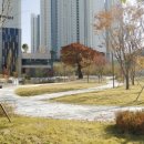 감일유치원 | 감일 보호수 문화공원 [스테이지온 하남] (벌룬쇼 By_광대엽)