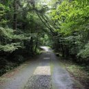 서귀포자연휴양림2 이미지