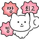 네일서월