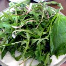 서해돌꽃펜션 이미지