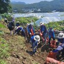 재향군인회 이미지