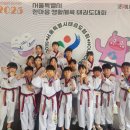 큰나무태권도장 이미지