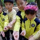 두솔유치원 이미지